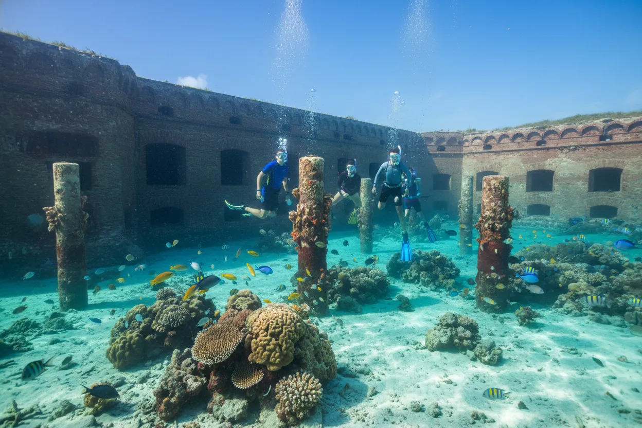 Snorkeling at Dry Tortugas National Park